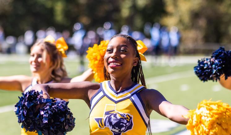 Cheerleaders in yellow and blue uniforms with pom-poms, performing outdoors.